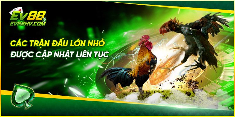 Các trận đấu lớn nhỏ được cập nhật liên tục