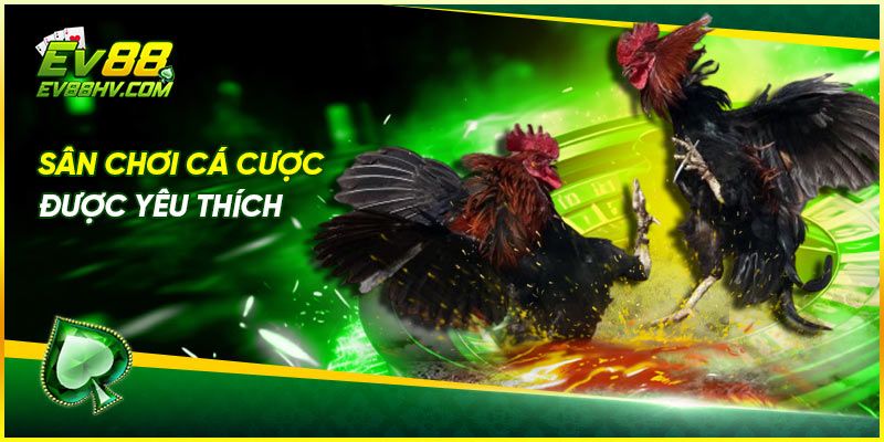 Sân chơi cá cược được yêu thích