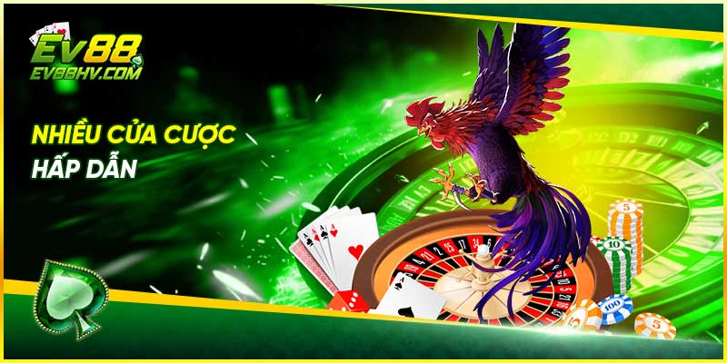 Nhiều cửa cược hấp dẫn